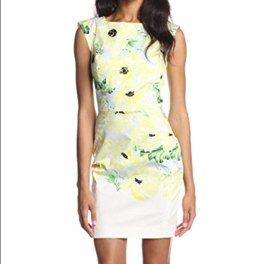 NWT French Connection Holiday Poppy Dress, Size 10